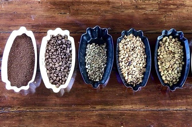 Blue Mountains Coffee Private Tour from Kingston - Exploring the Blue Mountains Coffee Private Tour from Kingston