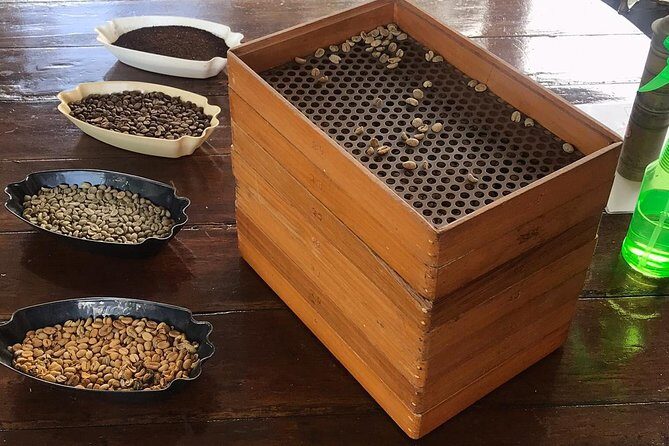 Blue Mountains Coffee Private Tour from Kingston - Key Points