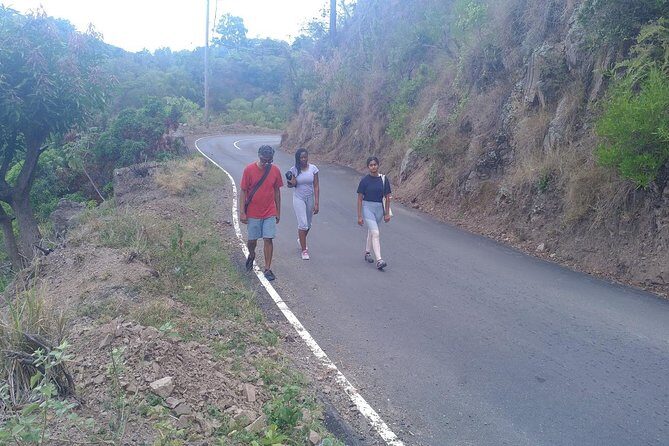 Blue Mountains Coffee Private Tour from Kingston - Final Thoughts