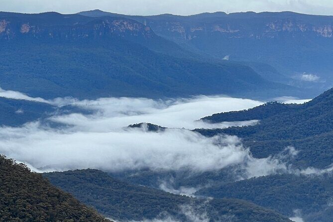 Blue Mountains Day Adventure, Featherdale Wildlife & River Cruise - Exploring the Itinerary in Detail