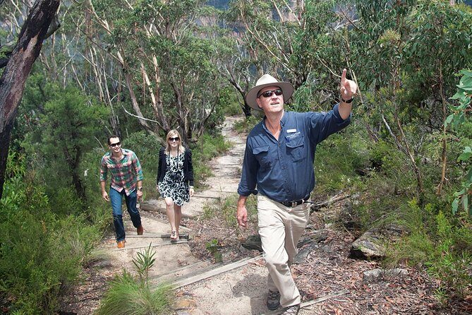Blue Mountains Day Tour With Bushwalks, Waterfalls & Featherdale - The Experience from Travelers Perspectives