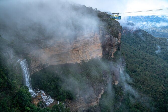 Blue Mountains Day Tour with Scenic World and Wildlife Park Entry - A Detailed Look at the Tour Experience