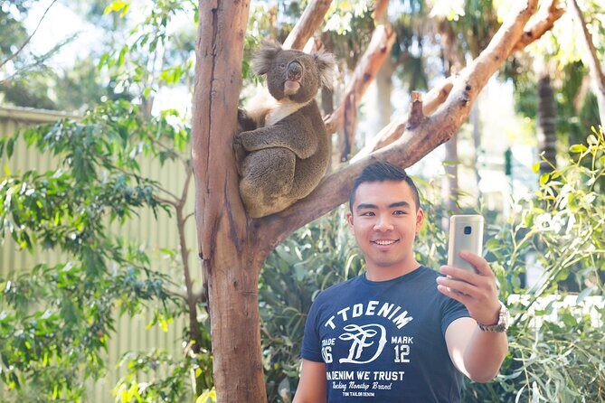 Blue Mountains Day Tour with Wildlife, Walks and Scenic World - FAQ
