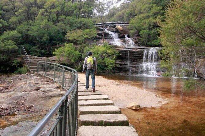 Blue Mountains Exclusive Private Tour - What Makes This Tour Stand Out?