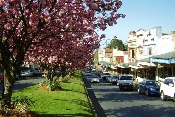 Blue Mountains Exclusive Private Tour - FAQ