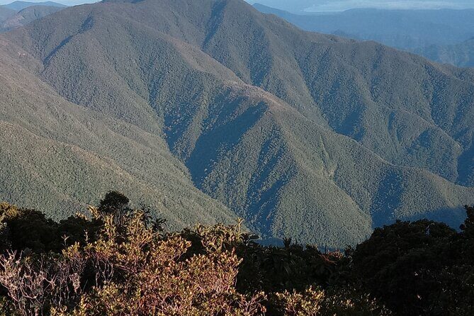 Blue Mountains Peak Hike - Who Should Book This Tour?
