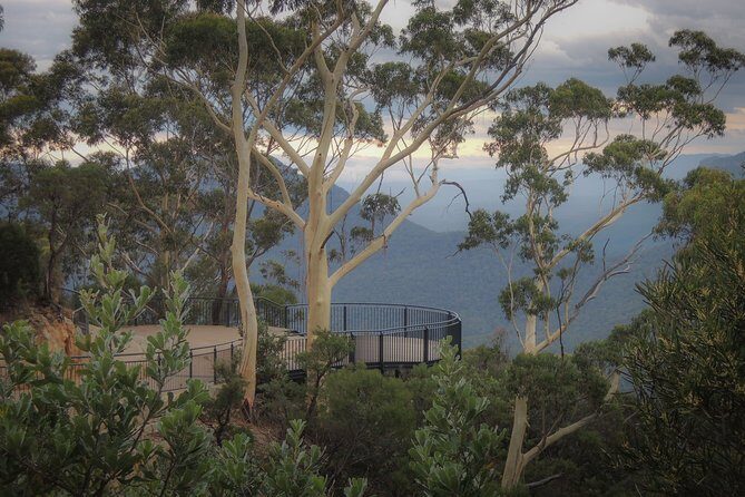 Blue Mountains Private Charter - Why This Tour Works Well for You