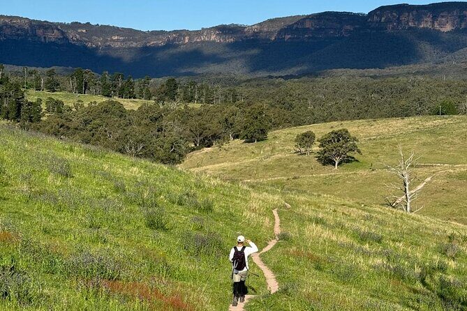 Blue Mountains Private Hike Tour -Winery drinks - Discover the Blue Mountains with a Private Hike and Winery Tour