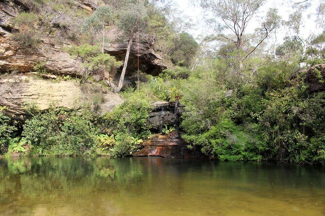 Blue Mountains Private Tour - The Experience in Detail: What to Expect