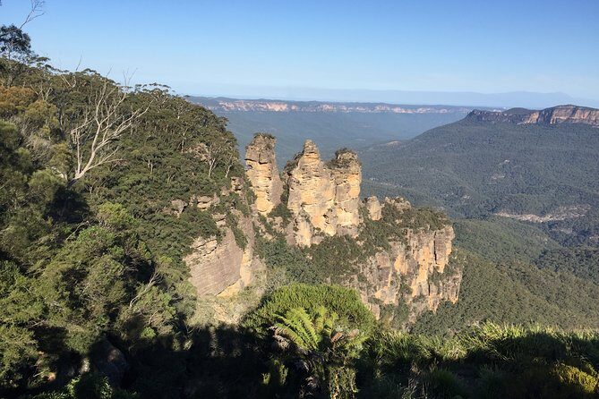 Blue Mountains Private Tour From Sydney, & Featherdale Aussie Animal Park Option - In-Depth Review of the Blue Mountains Private Tour
