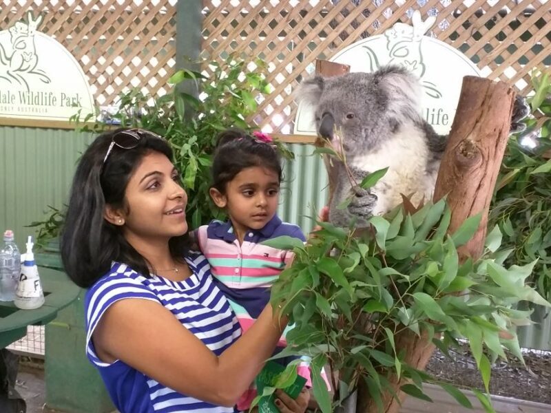 Blue Mountains private tour with Featherdale Wildlife Park - Why This Tour Offers Great Value