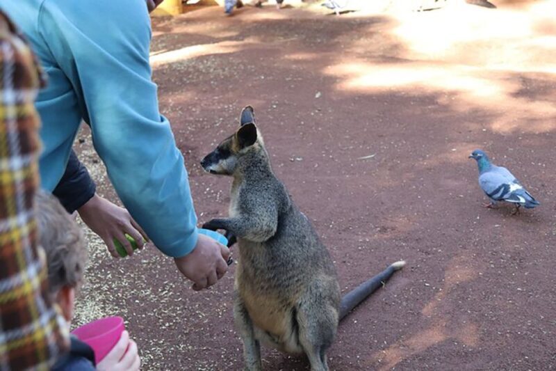 Blue Mountains: Private Tour with Wildlife and River Cruise - Who Will Enjoy This Tour?