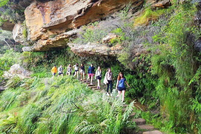 Blue Mountains Small Group Tour with Waterfall Walk & Fresh Lunch - Key Points