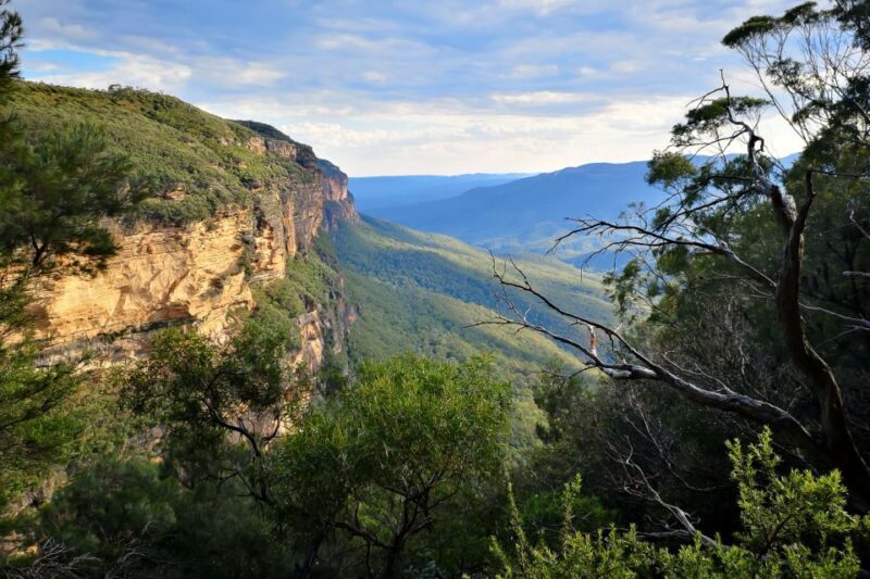 Blue Mountains: Sunset Waterfalls Wildlife Tour From Sydney - Detailed Review: The Blue Mountains Sunset Waterfalls Wildlife Tour