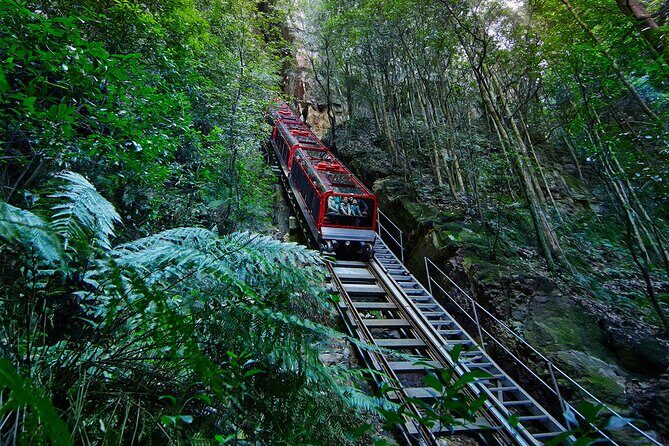 Blue Mountains Tour - Highlights - Who Should Book This Tour?