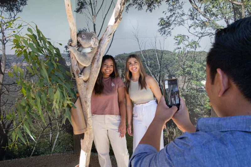 Blue Mountains Tour w/Lunch: Scenic World, Zoo & Koala Photo - A Deep Dive into the Blue Mountains Tour: What You Can Expect