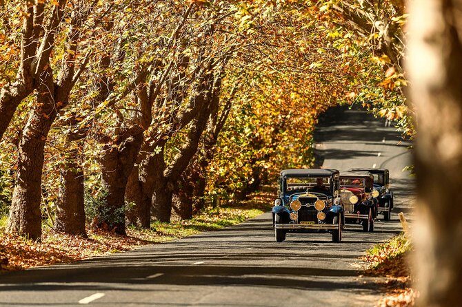 Blue Mountains Vintage Cadillac Tour with Local Guide - A Detailed Look at the Blue Mountains Vintage Cadillac Tour