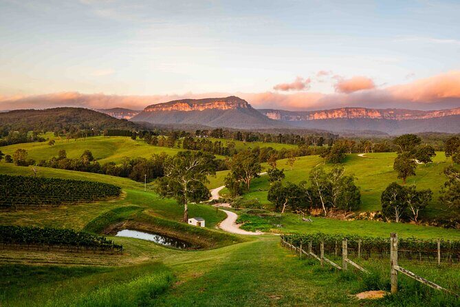 Blue Mountains Winery Tasting Private Tour - Pick up & drop off - An In-Depth Look at the Blue Mountains Private Tour
