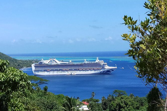 Blue Pearl Private Tour - Who Will Love This Tour?