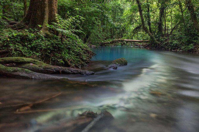 Blue River and Tenorio Volcano National Park Hike - A Deep Dive into the Costa Rican Rainforest and Rio Celeste