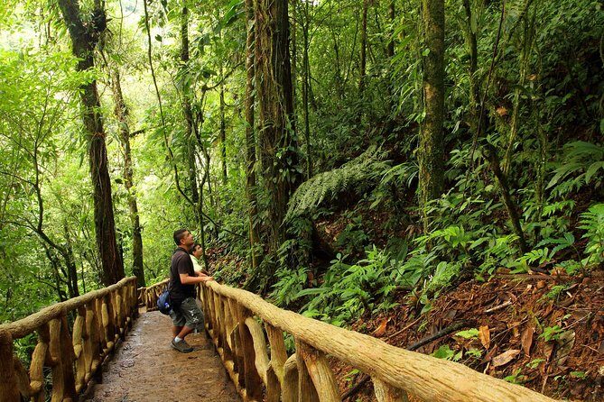 Blue River and Tenorio Volcano National Park Hike - Final Thoughts