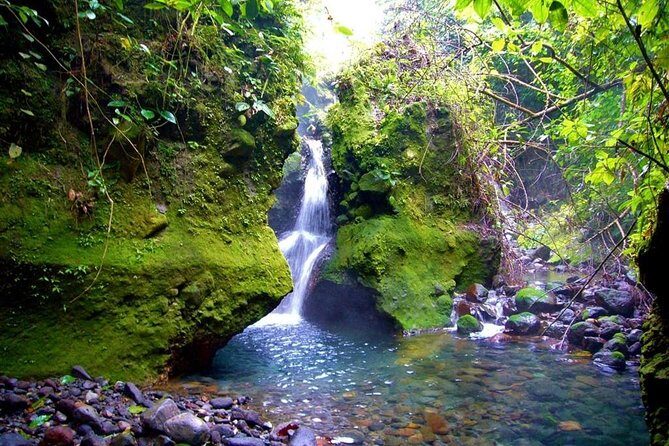 Blue River Hot Springs Adventure in Rincon de la Vieja from Dreams Las Mareas - Key Points