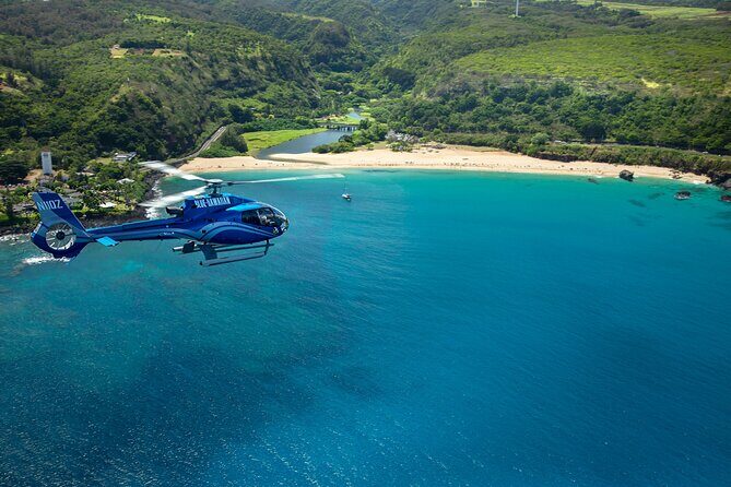 Blue Skies of Oahu Helicopter Tour - Who Should Consider This Tour?