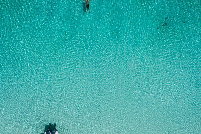 Bluefinn242 Swim with the Turtles in Nassau Bahamas - Who Should Consider This Tour?