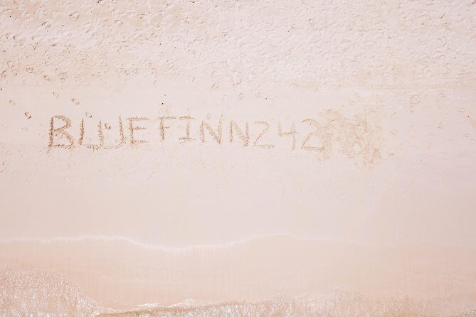 Bluefinn242 Swim with the Turtles in Nassau Bahamas - Final Thoughts: Why Consider This Tour?