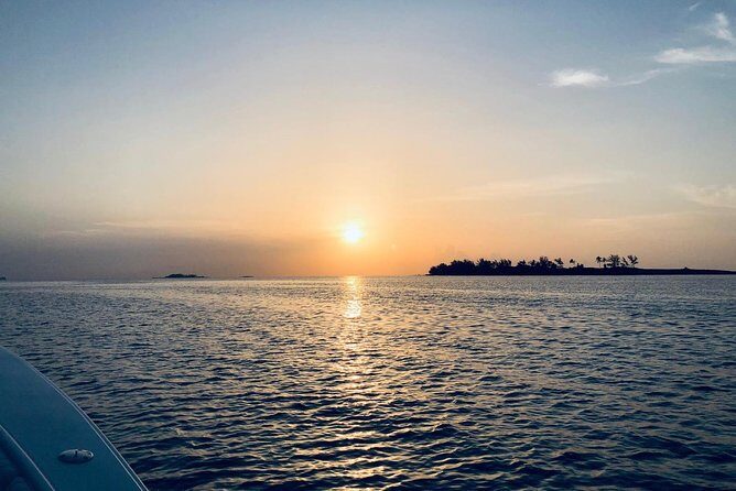 Bluefinn242 Swim with the Turtles in Nassau Bahamas - FAQ: Your Practical Questions Answered