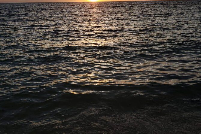 Bluefinn242 Swim with the Turtles in Nassau Bahamas - Final Takeaway