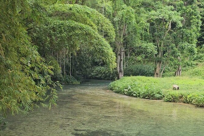Bluehole secret falls & ATV Experience tour from Montego Bay - Who Will Enjoy This Tour?