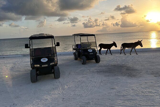 BMC Rentals -Golf Carts & Jeep Wrangler in Grand Turks - Exploring Grand Turk by Golf Cart: What You Need to Know