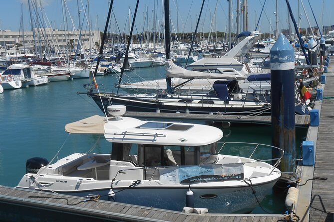 Boat and fishing trips in the Cadiz bay - Who Will Love This Tour?
