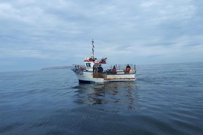Boat and Kayak at Berlenga Natural Reserve - Reaching Berlenga: The boat ride and island exploration