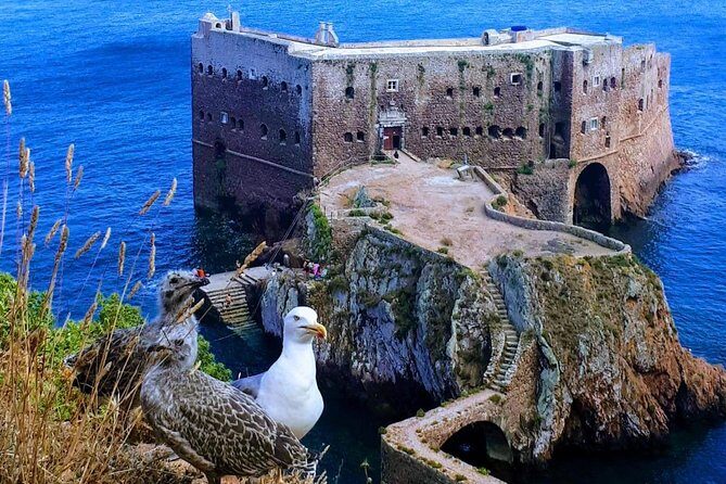 Boat and Kayak at Berlenga Natural Reserve - Pricing and Value