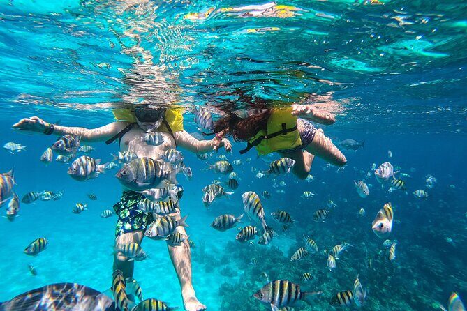 Boat and Snorkeling in West End (Blue Channel, The Aquarium, Turtle Crossing) - Exploring Roatan’s Underwater World: Boat and Snorkeling in West End