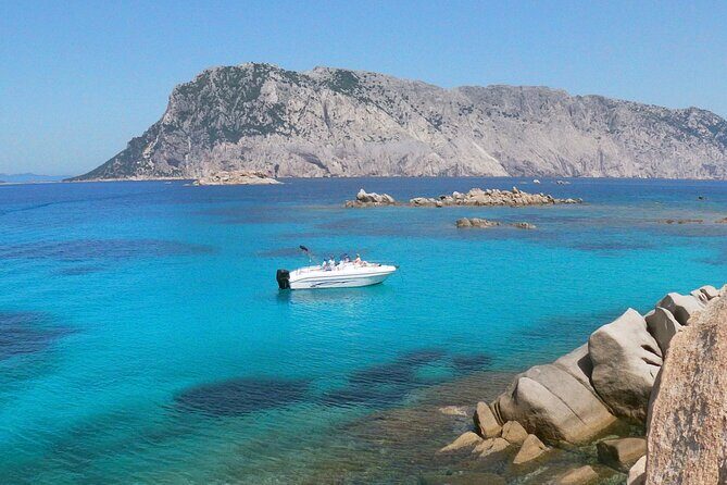 Boat and Snorkeling Private tour max 6 People - Key Points