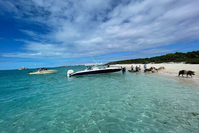 Boat Charters & Excursions - Exploring the Best of The Bahamas with Premium Boat Charters