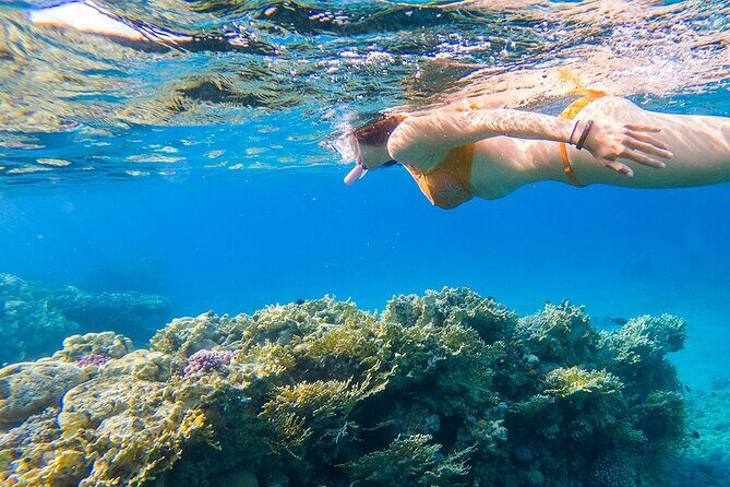 Boat Day Trip with Transport from San Juan to Fajardo - An In-Depth Look at the Boat Day Trip from San Juan