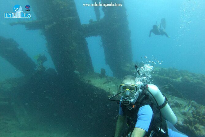 Boat Dive Shipwreck/ Airplanes/ Reef /2 tanks - Who Should Consider This Tour?