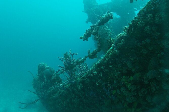 Boat Dive Shipwreck/ Airplanes/ Reef /2 tanks - Frequently Asked Questions (FAQs)