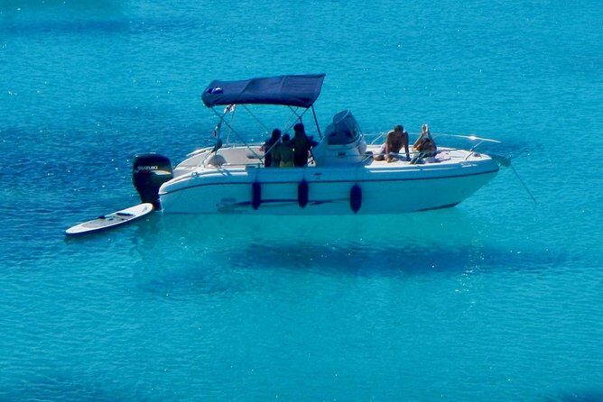 Boat Dolphins Safari and Snorkeling - Why This Tour Offers Excellent Value