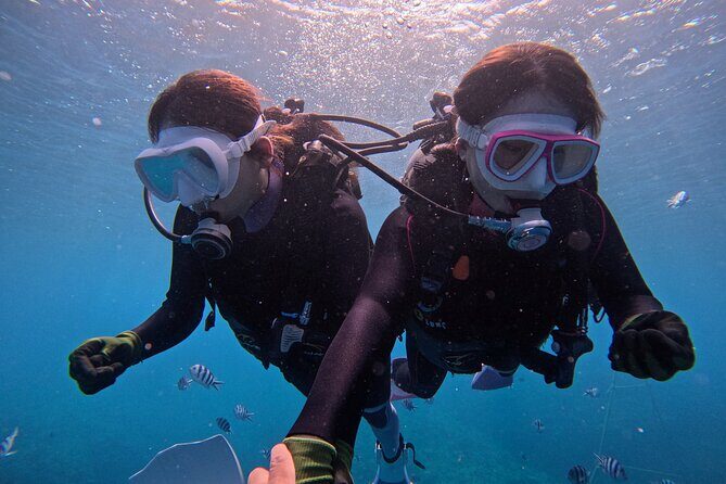 Boat entry diving at the Blue Cave in Onna Village, Okinawa! - The Experience in Detail: What to Expect