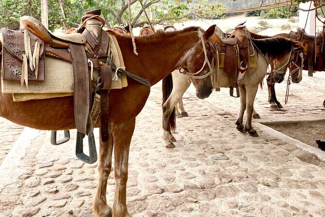 Boat Excursion and Hiking Walk in Quimixto - Final Thoughts