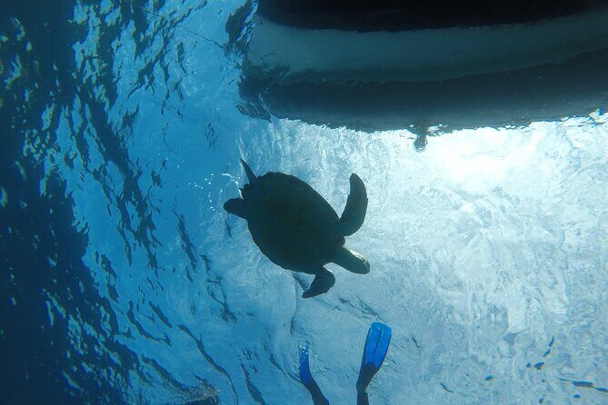 Boat Excursion to visit underwater lava tongues - Final Thoughts: Is It Worth It?