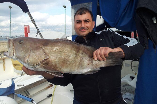 Boat fishing, boat tours, boat party - Authentic Reviews: What Travelers Say