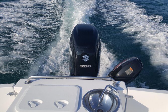 Boat fishing, boat tours, boat party - Who Should Consider This Experience?