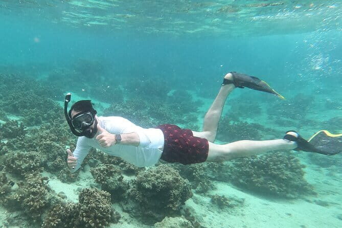 Boat Fundive 2Dives Minna, Sesoko , Motobu Okinawa - Final Thoughts: Why This Tour Might Be Your Best Choice