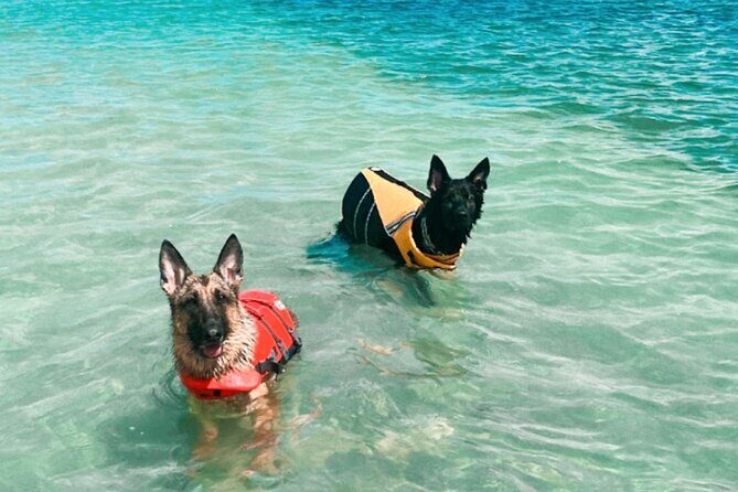 Boat Rentals to Shell Key, Treasure Island and St. Pete Beach - Who Would Love This Experience?